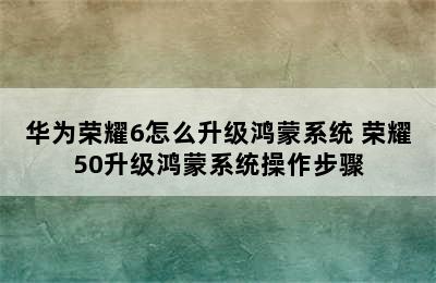 华为荣耀6怎么升级鸿蒙系统 荣耀50升级鸿蒙系统操作步骤